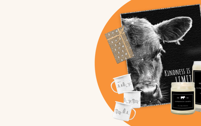 Help Animals and Save Money During Mercy For Animals’ Black Friday Sale