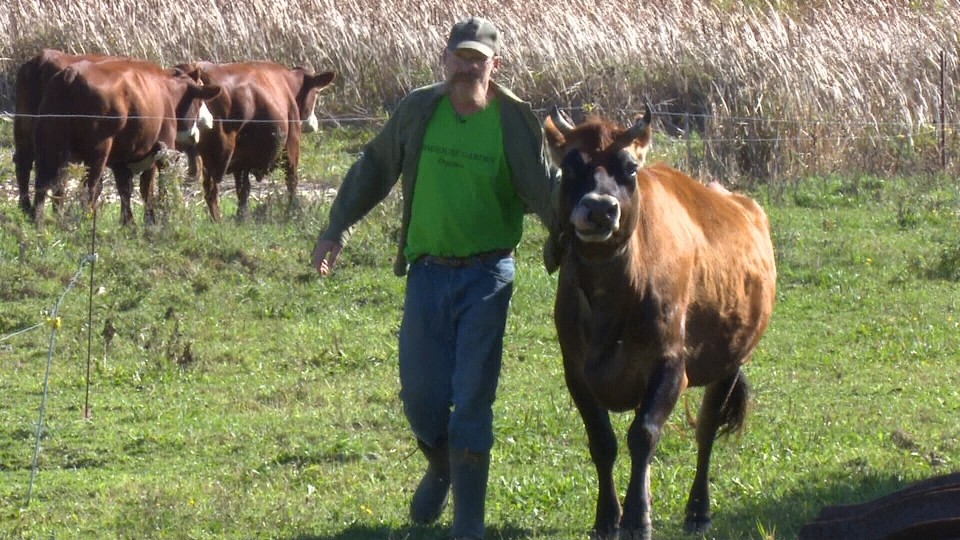 How One Calf Inspired a Farmer to Turn His Ranch Into a Sanctuary