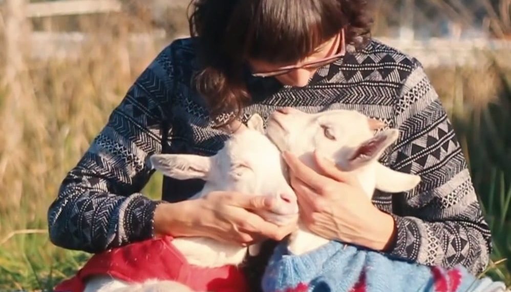 These Baby Goats Are Loving Life After Being Rescued From the Dairy Industry (VIDEO)