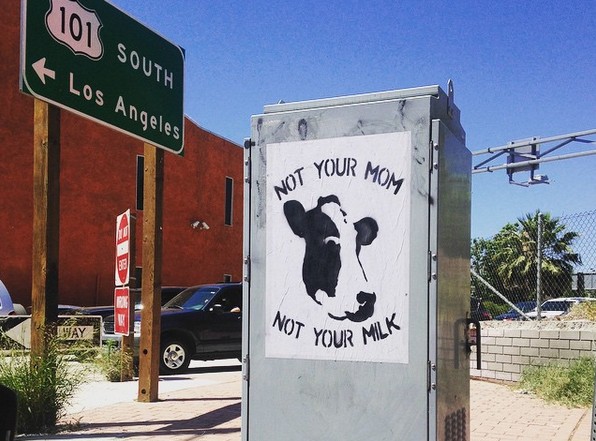 5 Badass Vegan Activists You Should Follow on Instagram