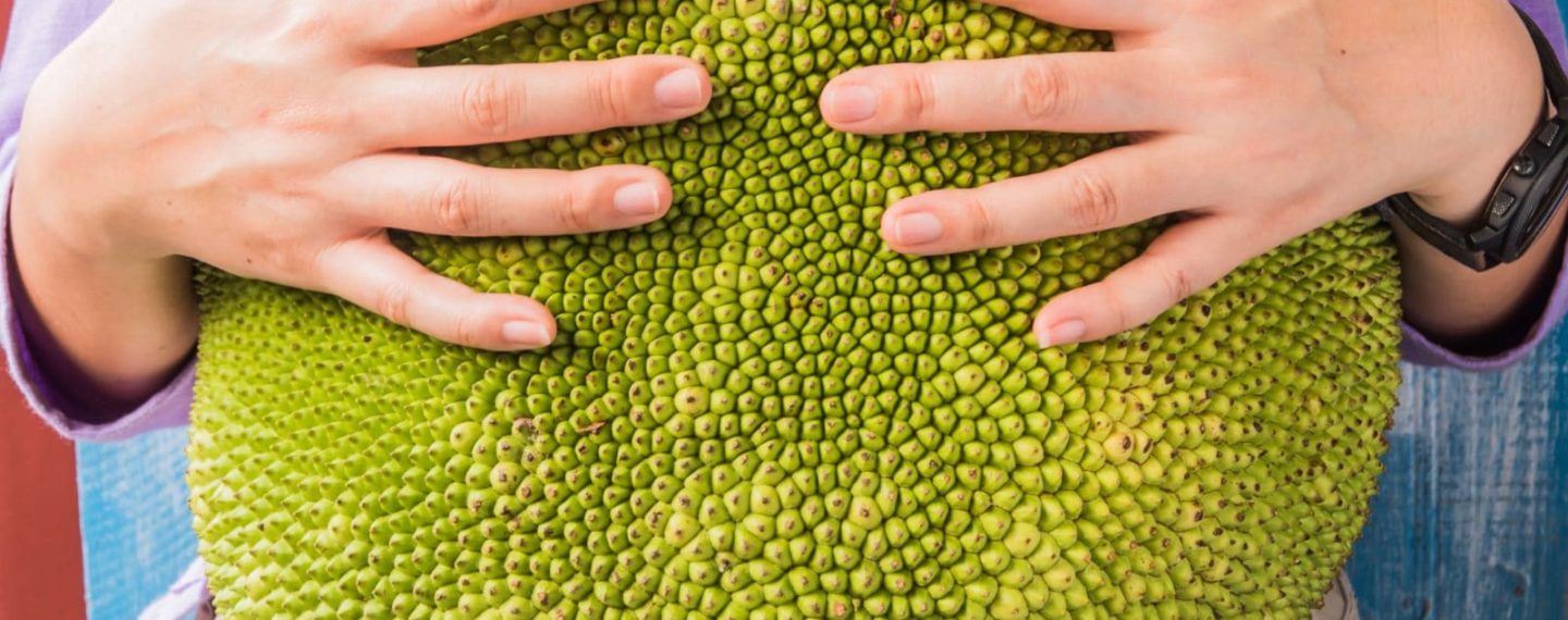 Whoa! Trader Joe’s Just Released a New Vegan Entree Made With Jackfruit