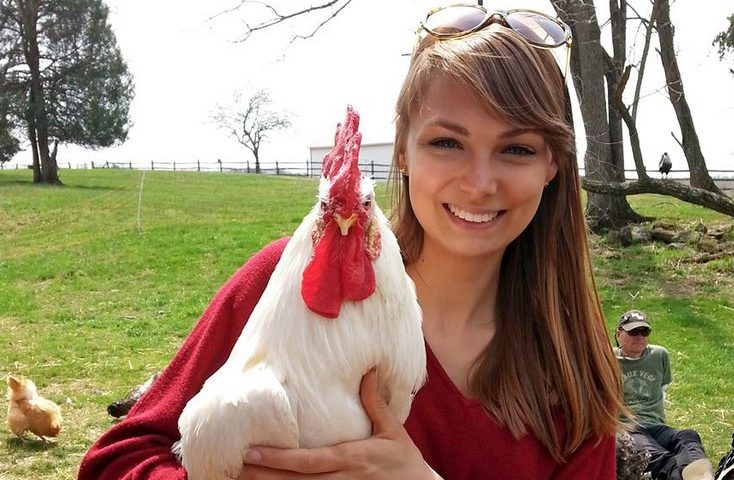 What’s Wrong With Dairy and Eggs?