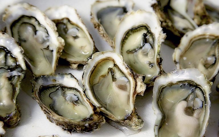 Meet the World’s First Plant-Based Oyster, Complete with Biodegradable Shell