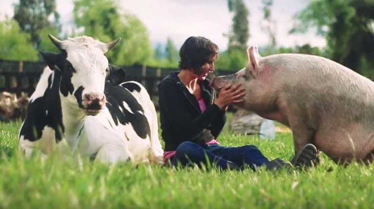 This Sanctuary in Chile Is Giving Farmed Animals the Love They Deserve