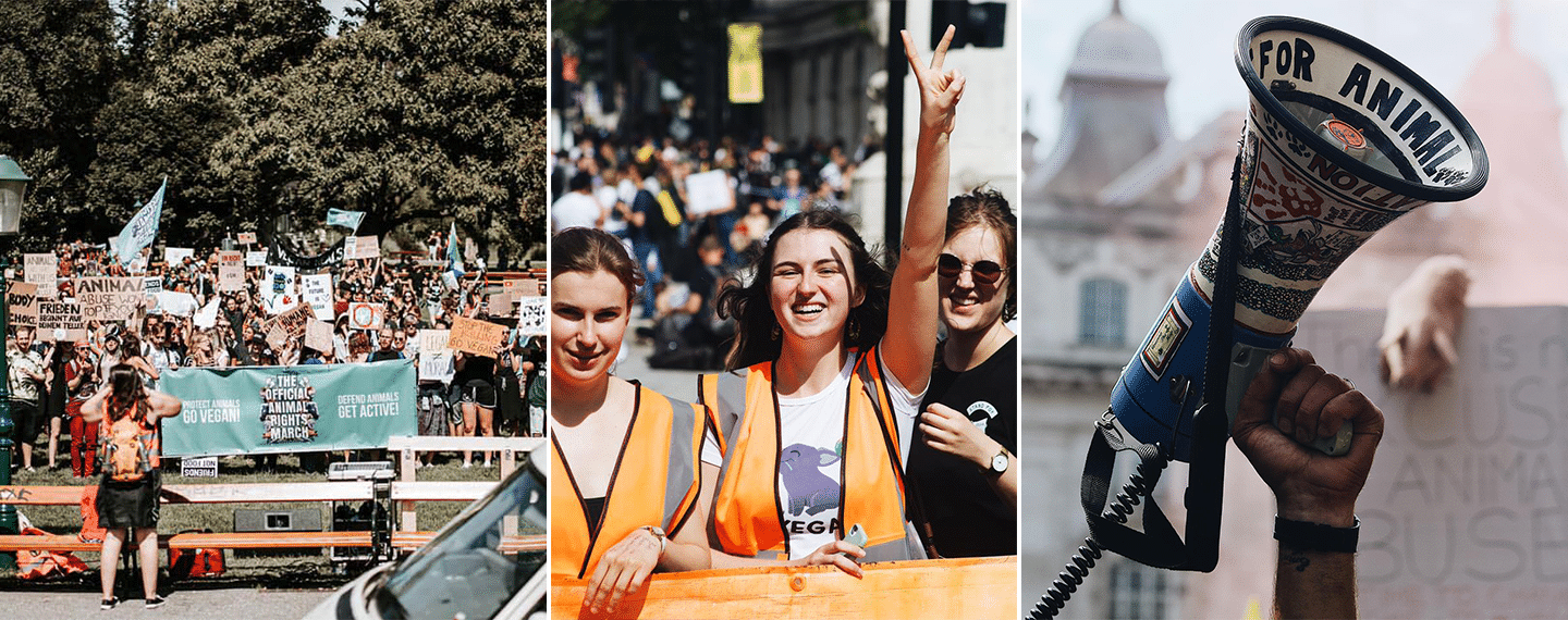 A Record-Breaking 12,000 Activists Took Part in London’s Annual Animal Rights March