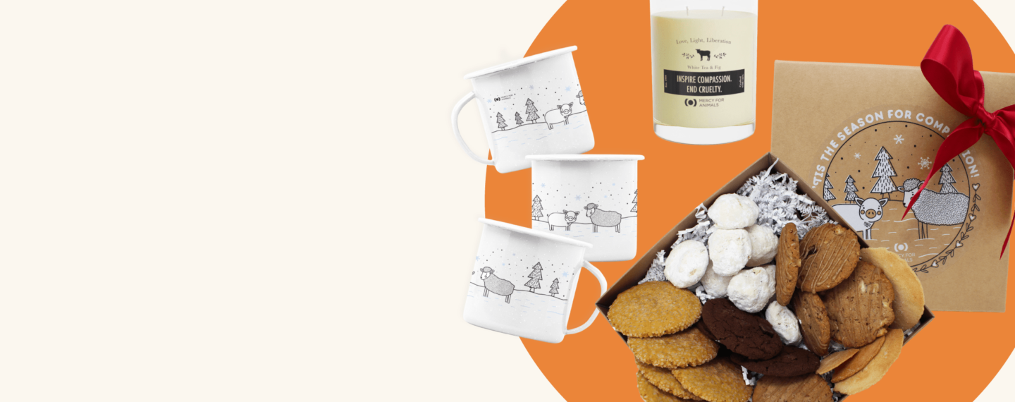 Satisfy Your Budget and Your Heart with These 10 Vegan Holiday Gift Ideas