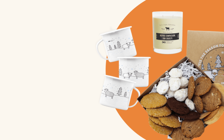 Satisfy Your Budget and Your Heart with These 10 Vegan Holiday Gift Ideas