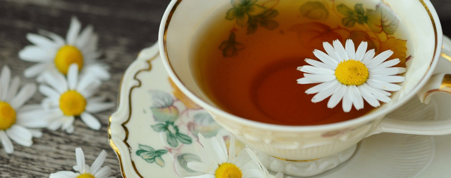 Fill Your Cup with These Six Plant-Based Drinks in 2022