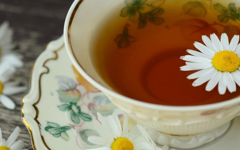 Fill Your Cup with These Six Plant-Based Drinks in 2022