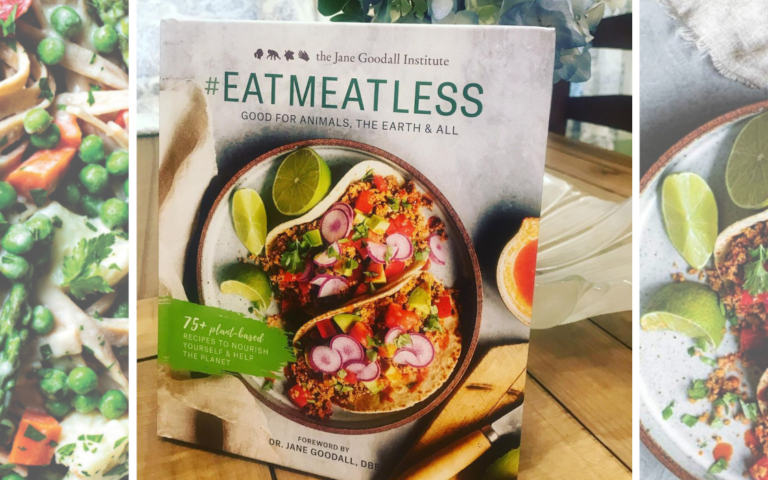 Famed Anthropologist Jane Goodall Releases Vegan Cookbook