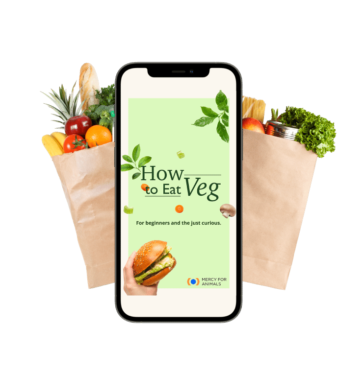 Get Your FREE How to Eat VegGuide