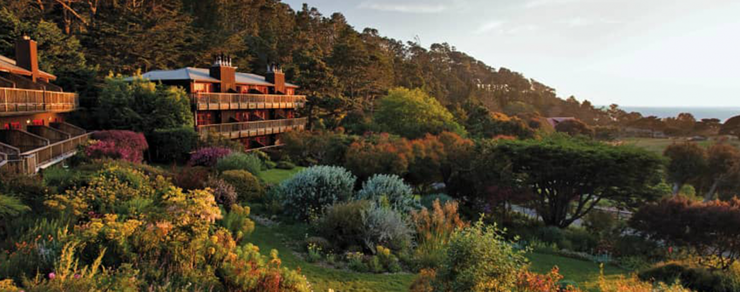 5 Completely Vegan Hotels to Visit ASAP