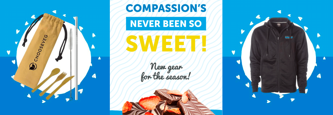 2018 Vegan Holiday Gift Ideas for Your Entire List