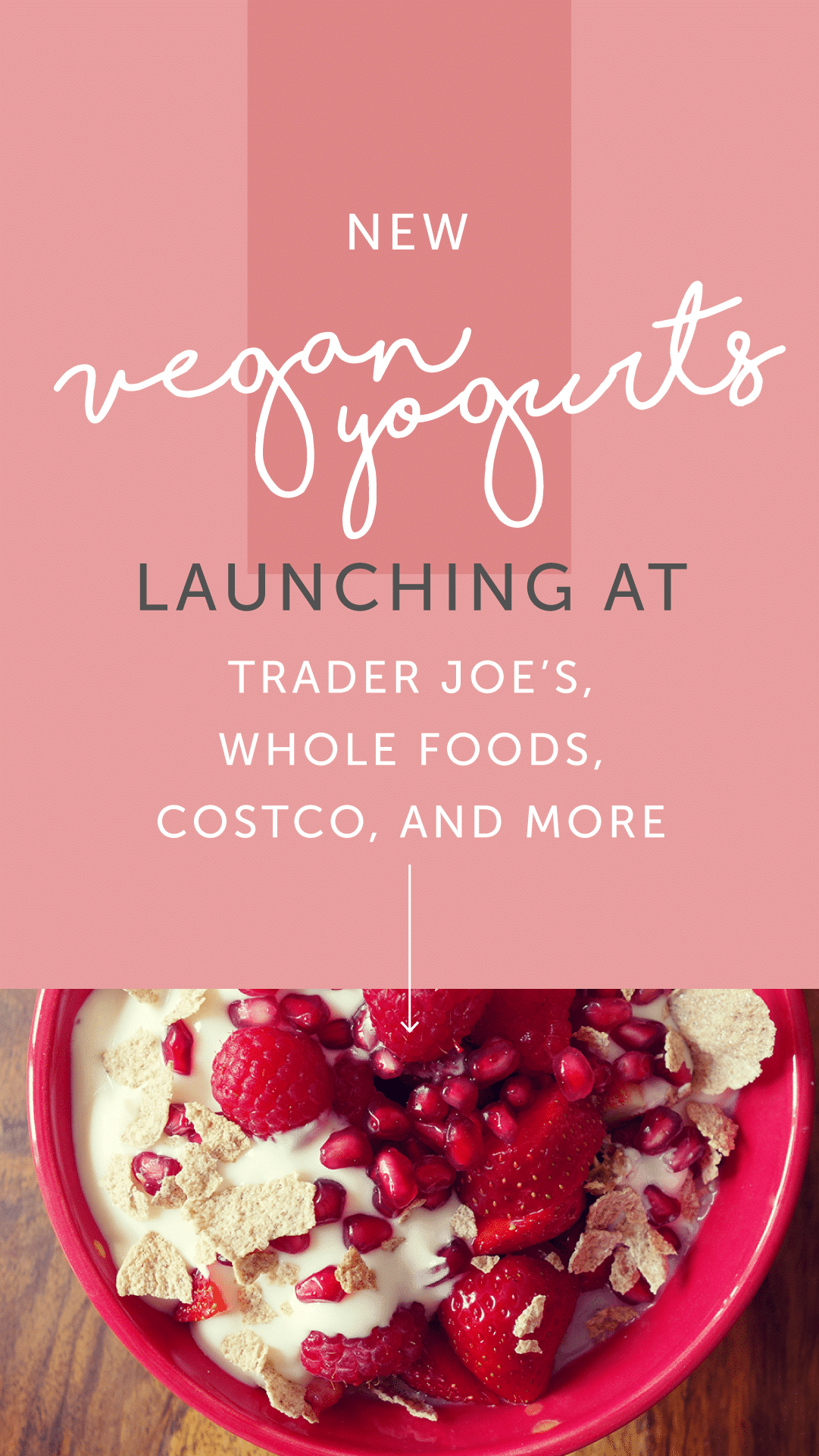 New Vegan Yogurts Launching at Trader Joe’s, Whole Foods, Costco, and More